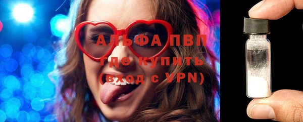 стаф Горняк