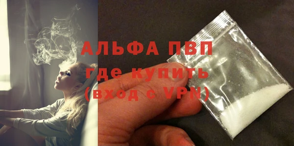 стаф Горняк