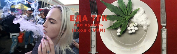 стаф Горняк