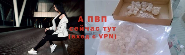 стаф Горняк