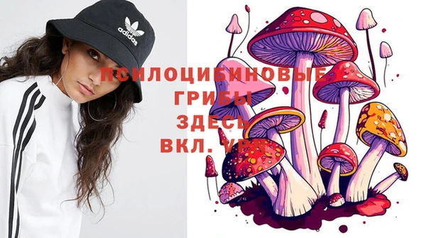 соль ск Горно-Алтайск