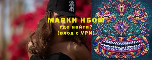 стаф Горняк