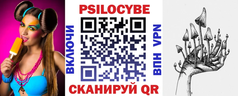 цена   Зарайск  hydra как войти  Галлюциногенные грибы Cubensis 